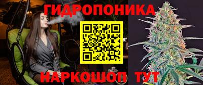 spice Кунгур