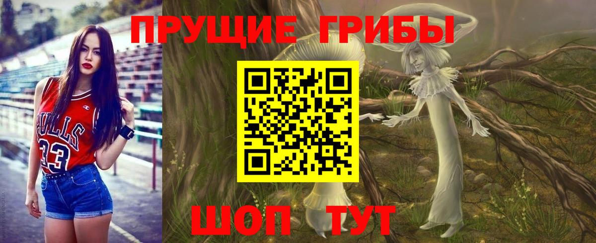 Усть-Джегута  Галлюциногенные грибы Magic Shrooms  Галлюциногенные грибы Magic Shrooms  Вход с VPN 